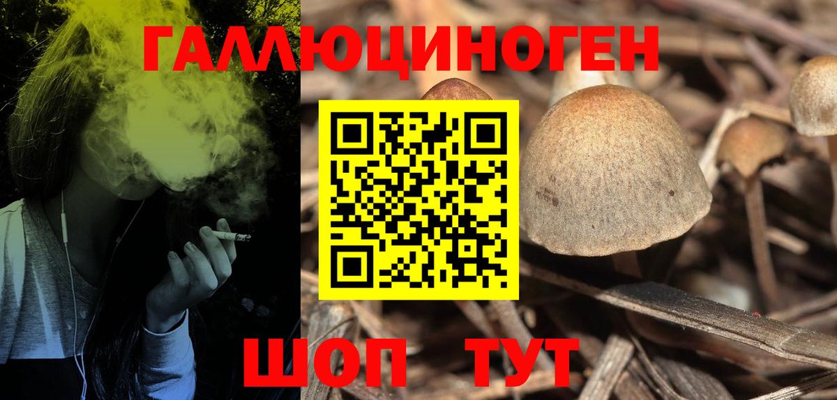 Галлюциногенные грибы мухоморы Екатеринбург