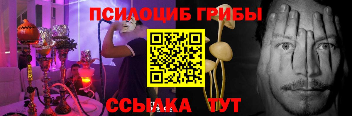 Екатеринбург  Галлюциногенные грибы прущие грибы  Вход с VPN 